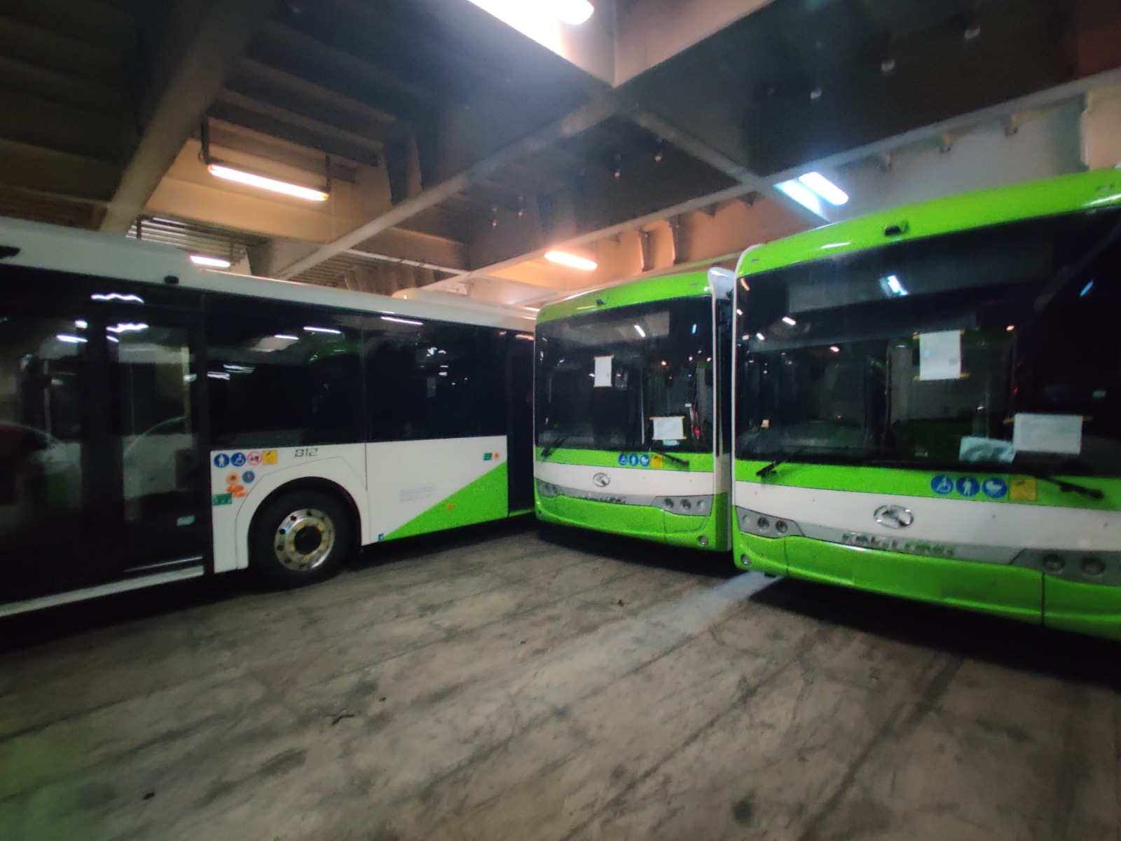 Buses